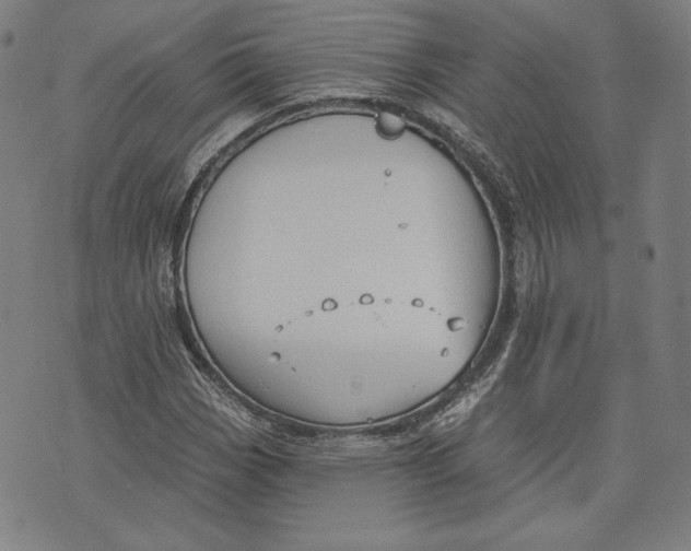 X0000076221113200610191526