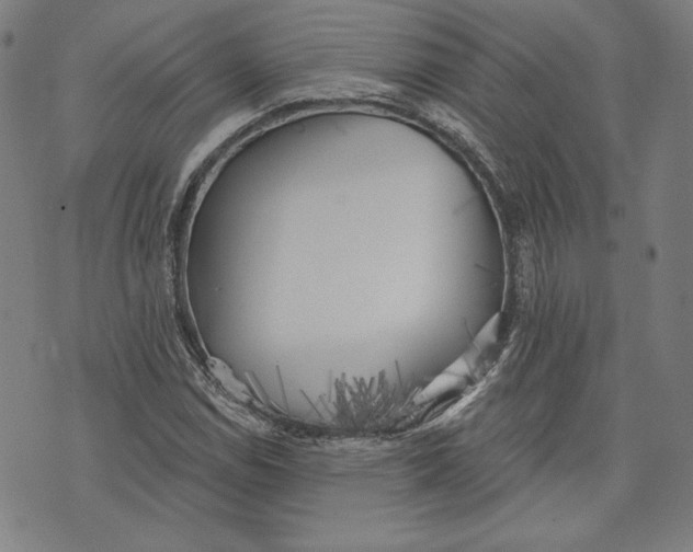 X0000076221114200610191526