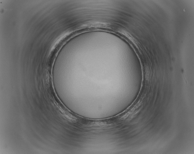 X0000076221115200610191526