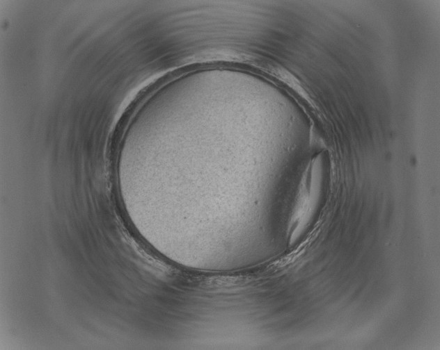 X0000076221116200610191526