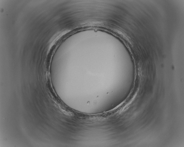 X0000076221117200610191526