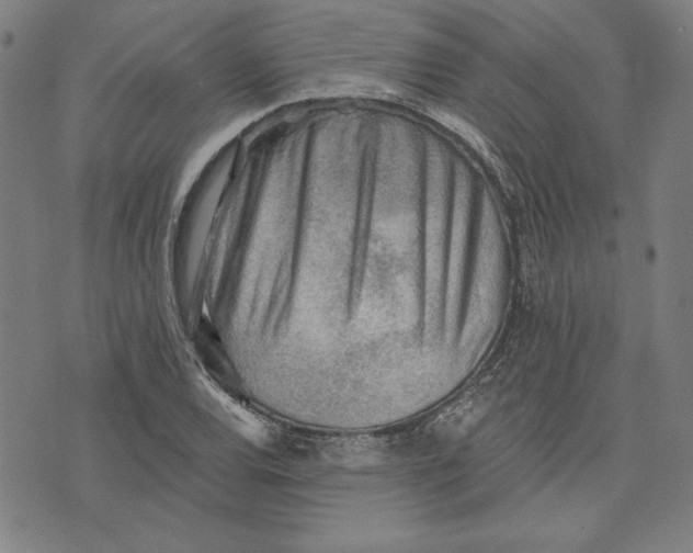 X0000076221120200610191526