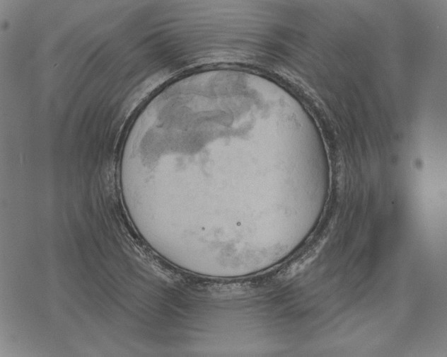 X0000076221121200610191526