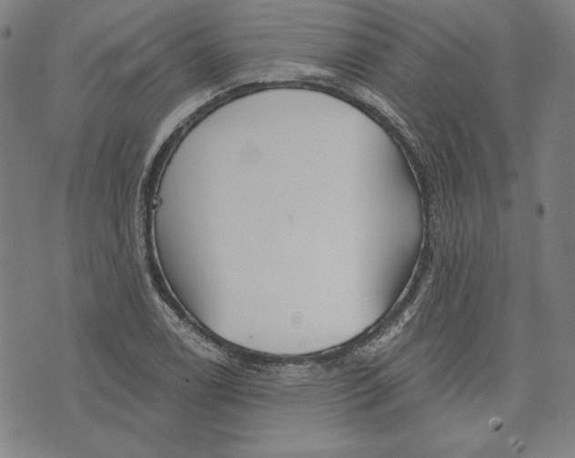 X0000076221122200610191526