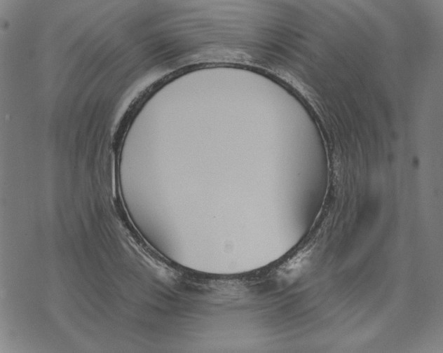 X0000076221123200610191526