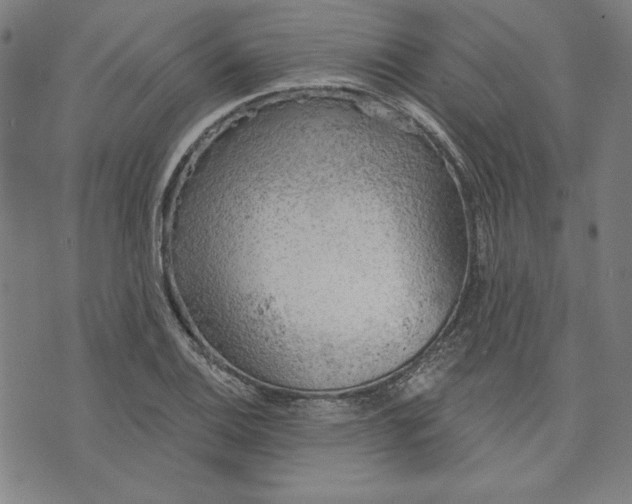 X0000076221124200610191526