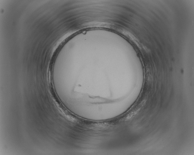 X0000076221125200610191526