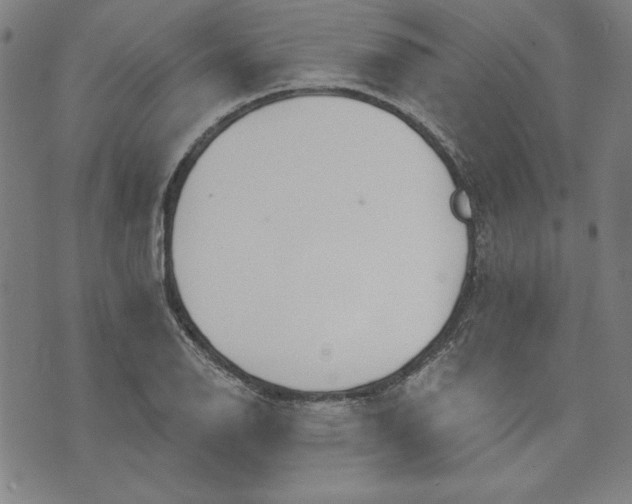 X0000076221126200610191526