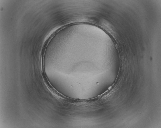 X0000076221127200610191526