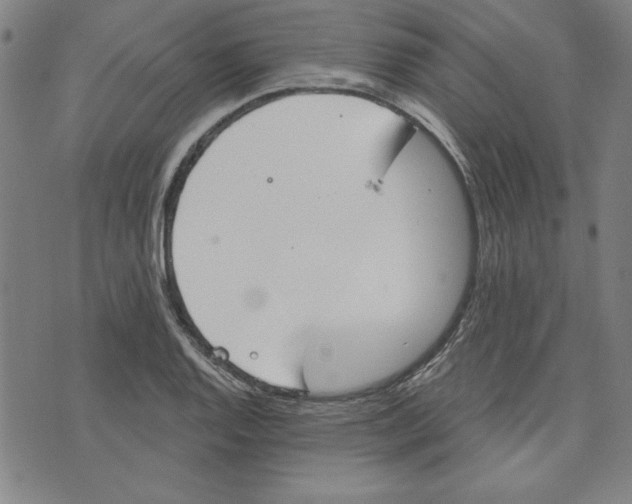 X0000076221128200610191526