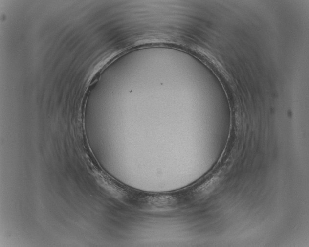 X0000076221129200610191526