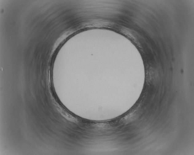 X0000076221130200610191526