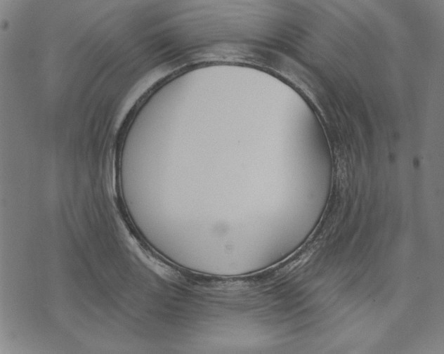 X0000076221131200610191526