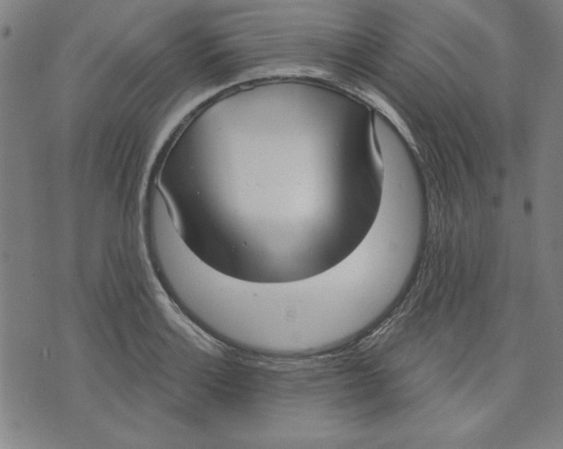 X0000076221132200610191526