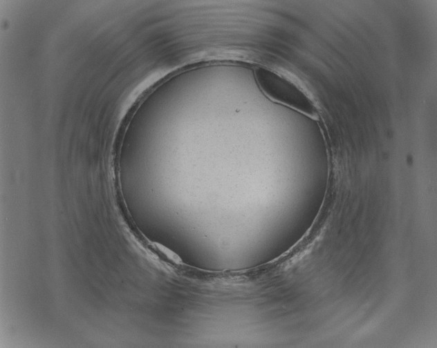 X0000076221133200610191526