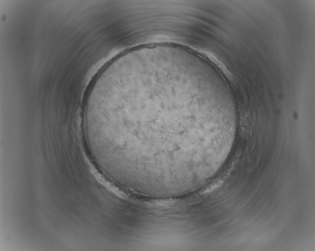 X0000076221134200610191526