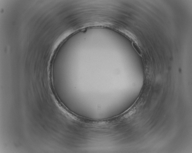 X0000076221135200610191526