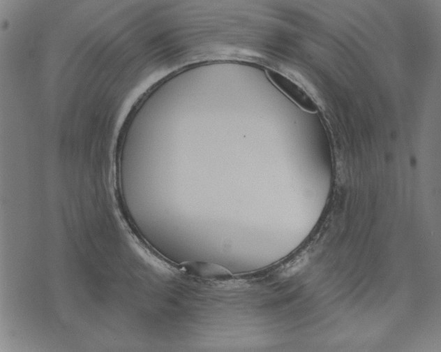 X0000076221136200610191526