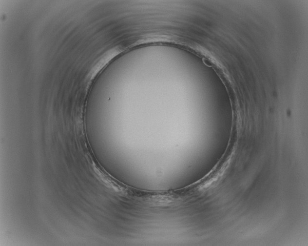 X0000076221137200610191526