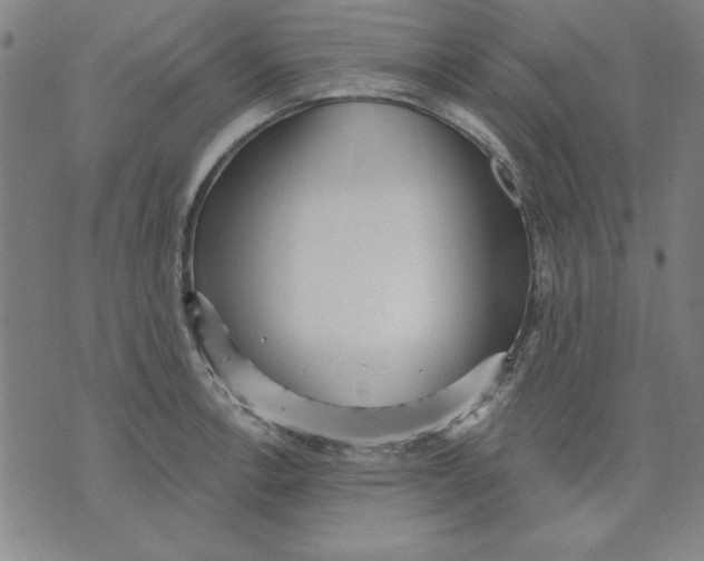 X0000076221138200610191526