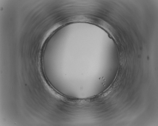 X0000076221139200610191526