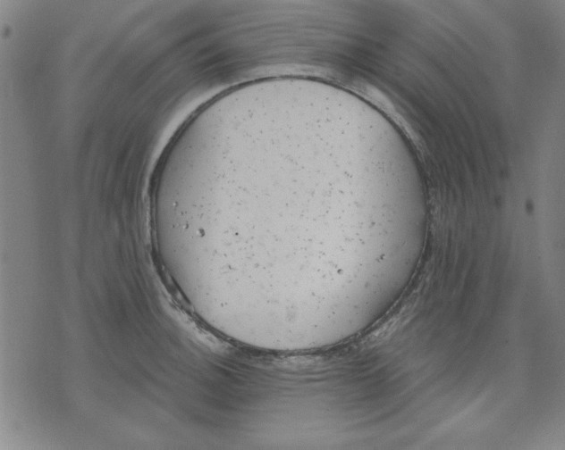 X0000076221140200610191526