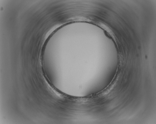 X0000076221141200610191526