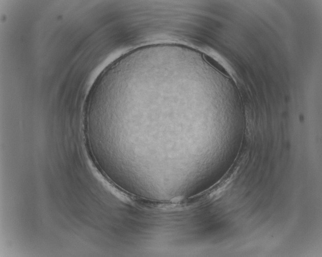 X0000076221142200610191526