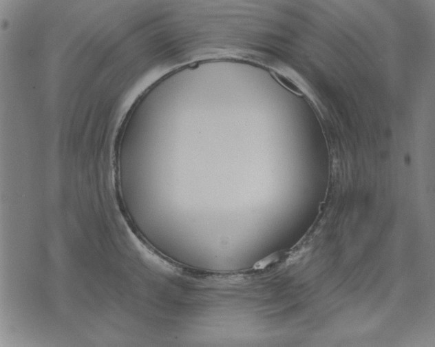 X0000076221143200610191526