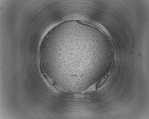 X0000076221144200610191526