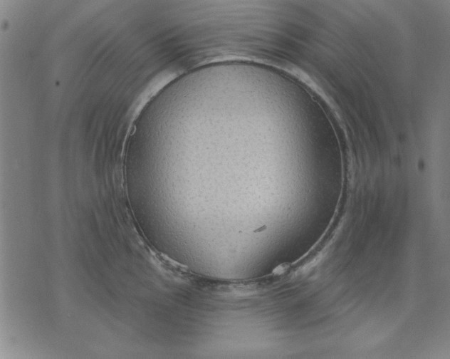 X0000076221145200610191526