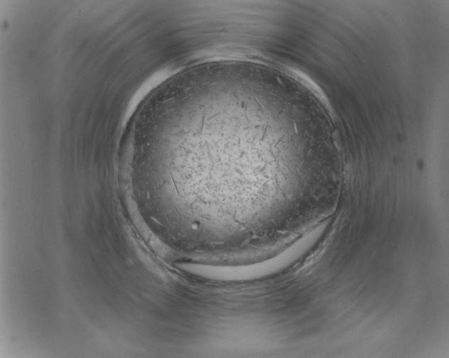 X0000076221146200610191526