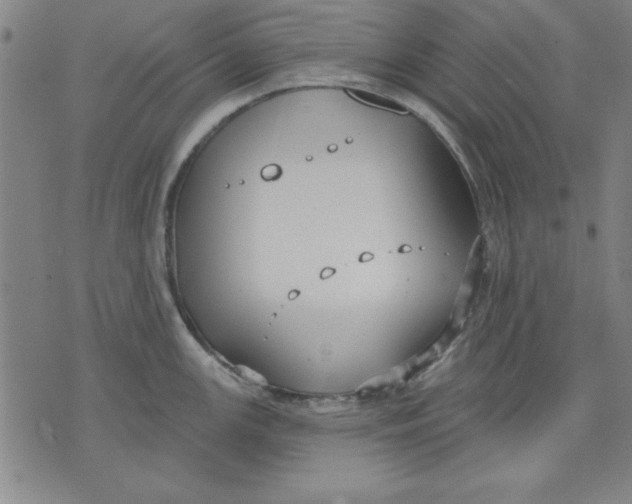 X0000076221147200610191526