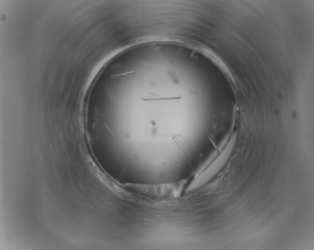 X0000076221148200610191526