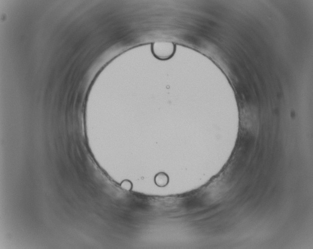 X0000076221150200610191526