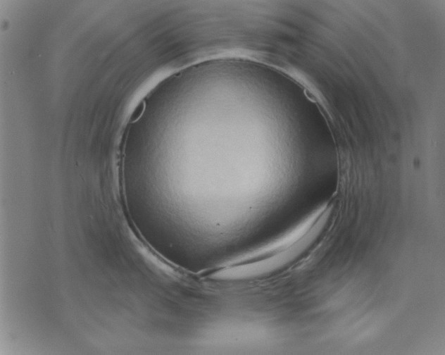 X0000076221151200610191526