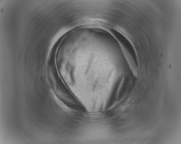 X0000076221152200610191526