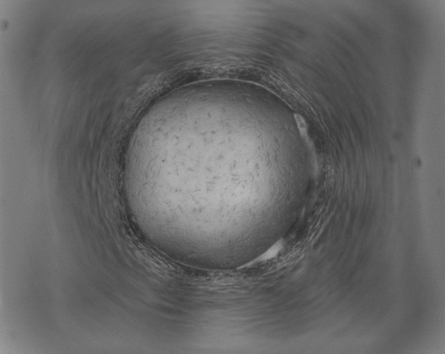 X0000076221153200610191525