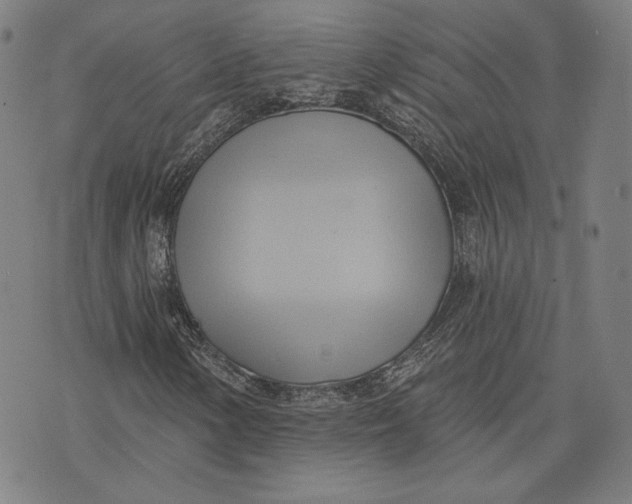 X0000076221154200610191525