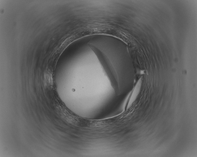 X0000076221155200610191525