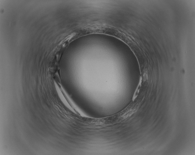 X0000076221156200610191525