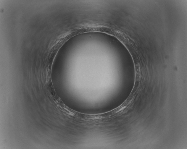 X0000076221157200610191525