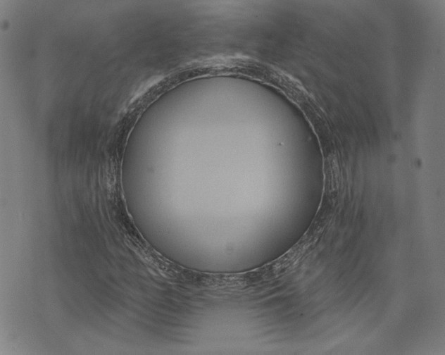 X0000076221158200610191525