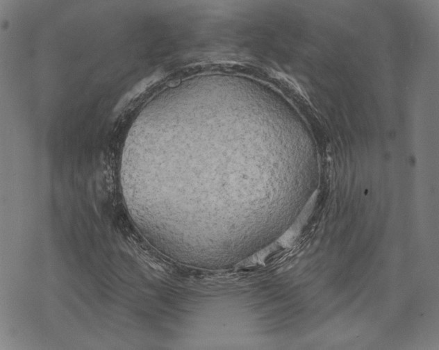 X0000076221159200610191525