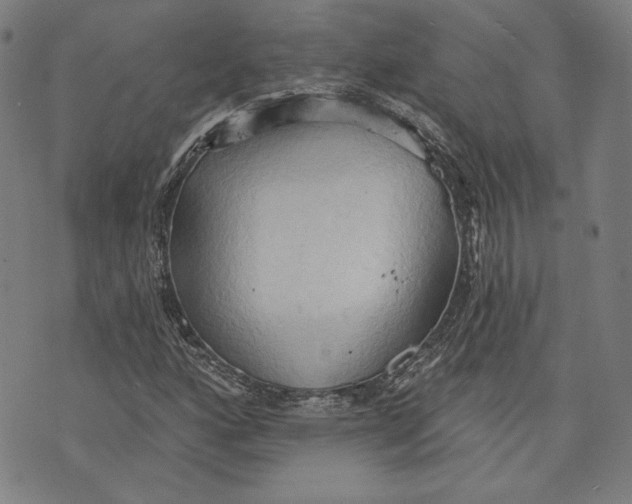 X0000076221160200610191525