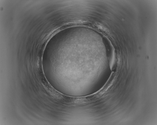 X0000076221161200610191525