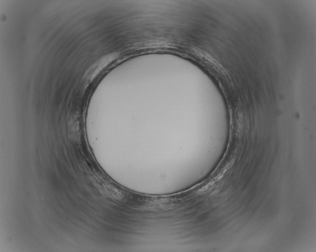 X0000076221162200610191525