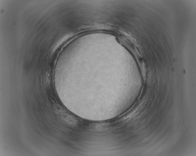 X0000076221163200610191525