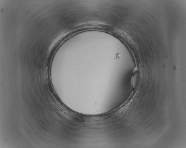 X0000076221164200610191525