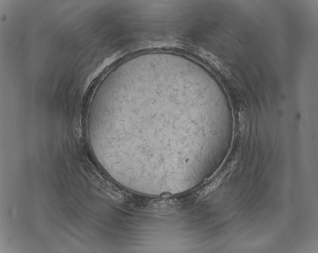 X0000076221165200610191525